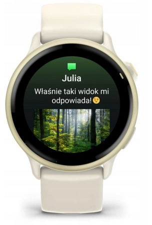 Smartwatch Garmin Vivoactive 6 Beżowy Lunar Gold 010-02985-01