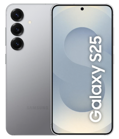 Samsung Galaxy S25 SM-S931 12/256GB Srebrny